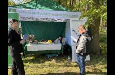 img_1781_p64594_original
