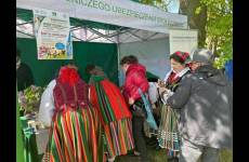 img_1790_p49542_original