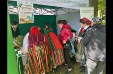 img_1791_p77353_original
