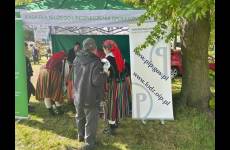img_1794_p47538_original