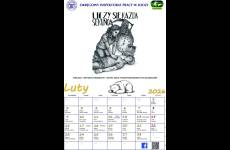 luty_p77682_original