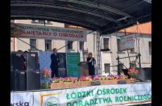 saiw9181_p25367_original